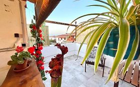 Casa Dionea, Puerto De La Cruz
