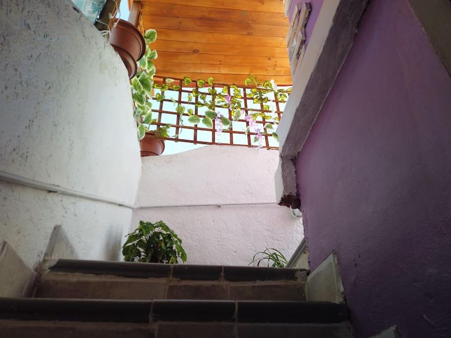Villa Casa Dionea, Puerto De La Cruz Exterior foto